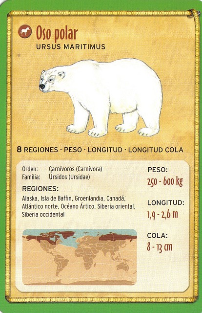 oso polar