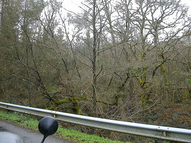 DSCN5632 DSCN5632