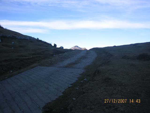 collada taranes