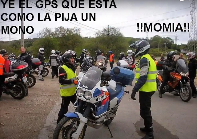 La pija un mono