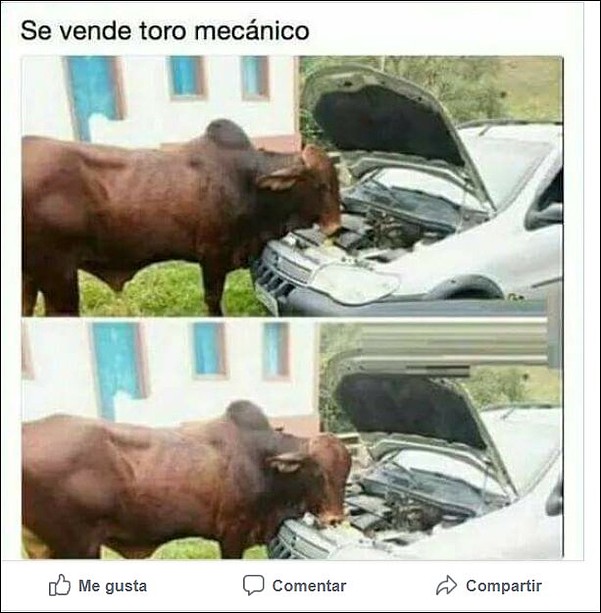 SE VENDE TOR MECANICO