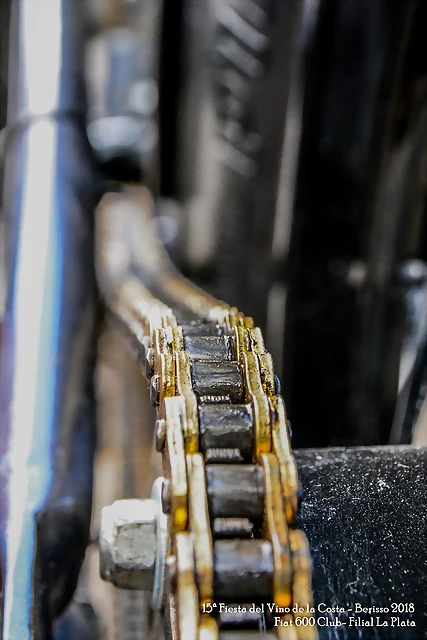 DSC_0066 DSC_0066