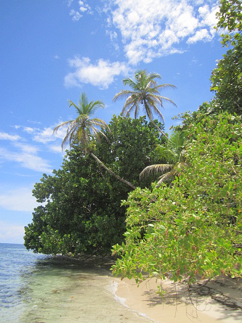 IMG_0127 (2) IMG_0127 (2)