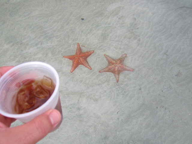 IMG_0120 IMG_0120