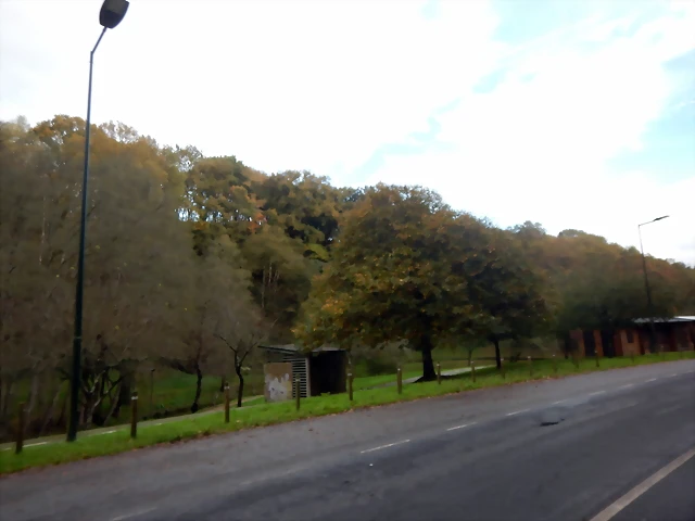 DSCN1782 DSCN1782