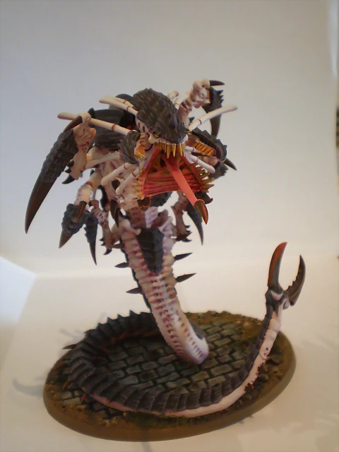 Mawloc Tirnido (11)