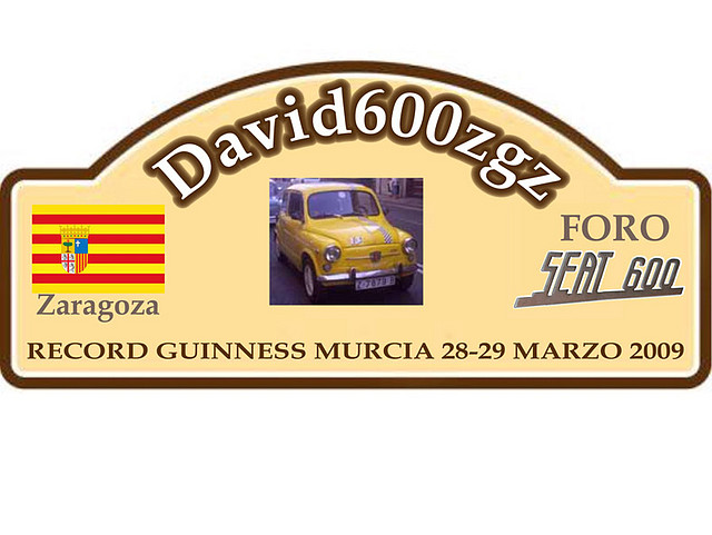 david600zgz1