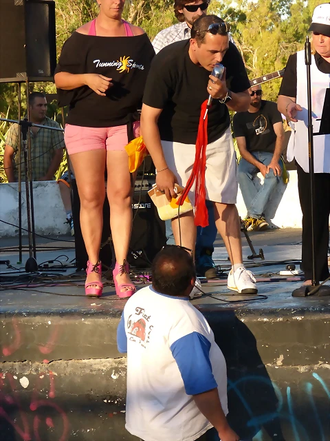 P1050817 P1050817