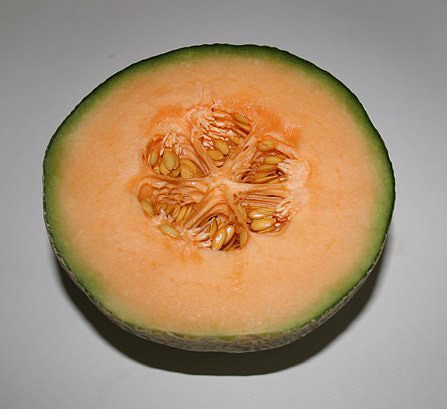 Melona Melona