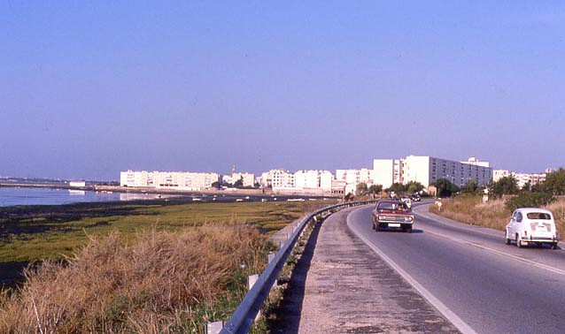 Puerto Real Cadiz (3)