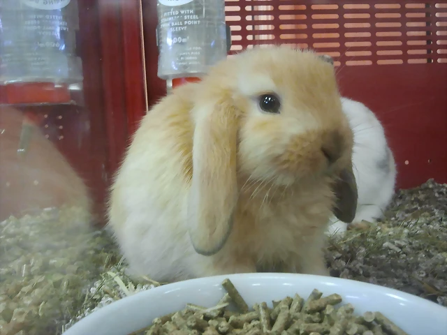 2012-07-22 12.41.04 2012-07-22 12.41.04