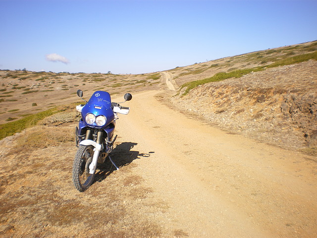 IMGP7311