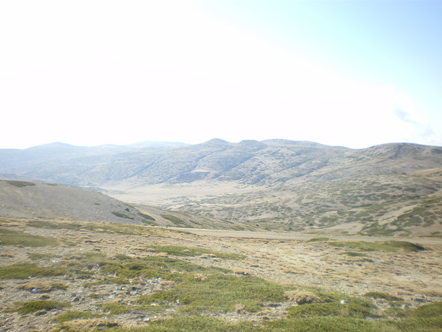 IMGP7309