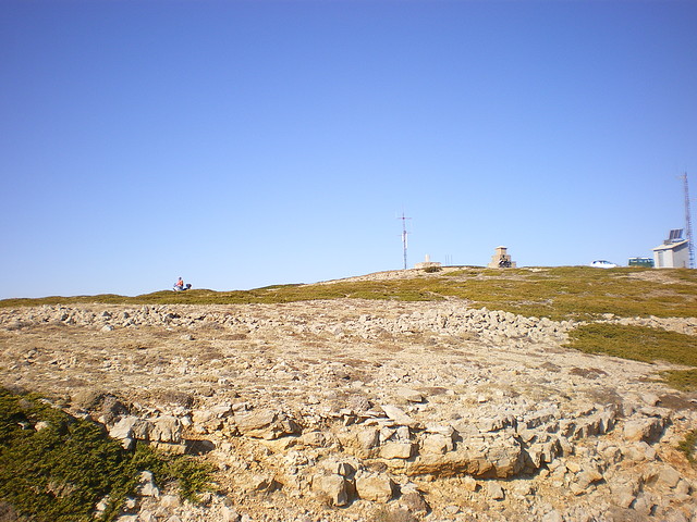 IMGP7310