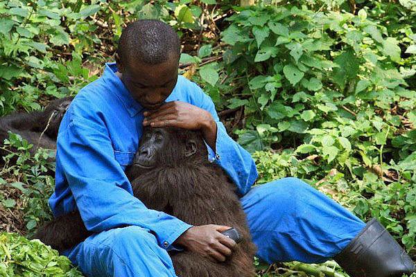 Hombre negro con orangutan