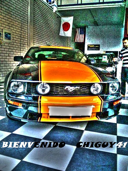 MUSTANG chiguy41 xtra