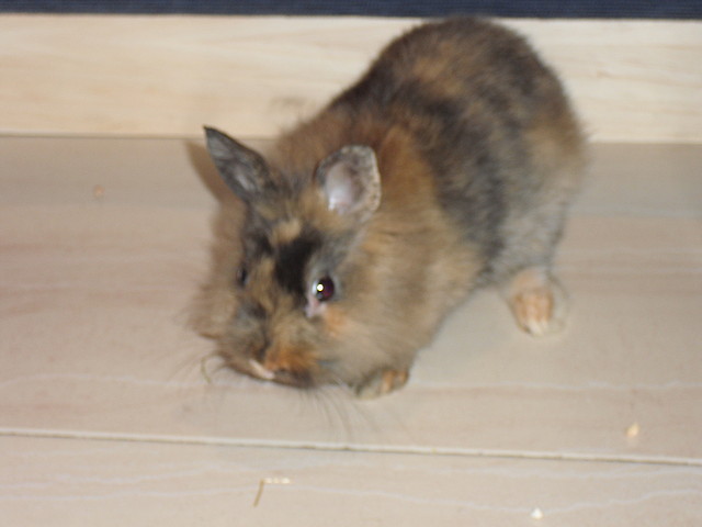 IMG_0074 IMG_0074