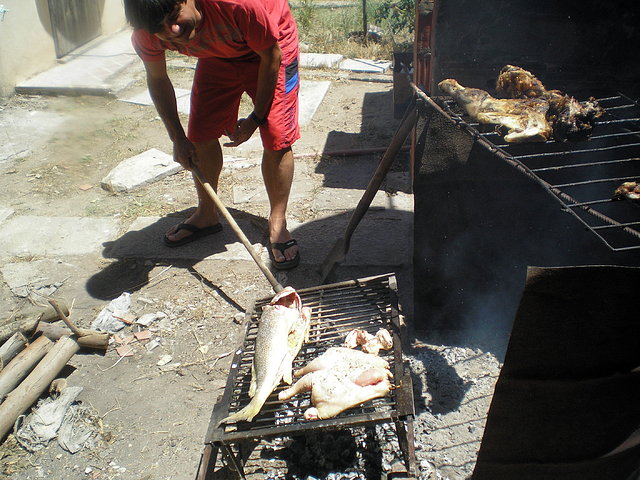 Aca haciendo feliz la corvina,je