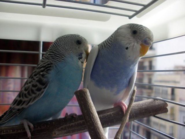 Foto5 Foto5