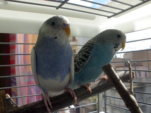 Foto6 Foto6