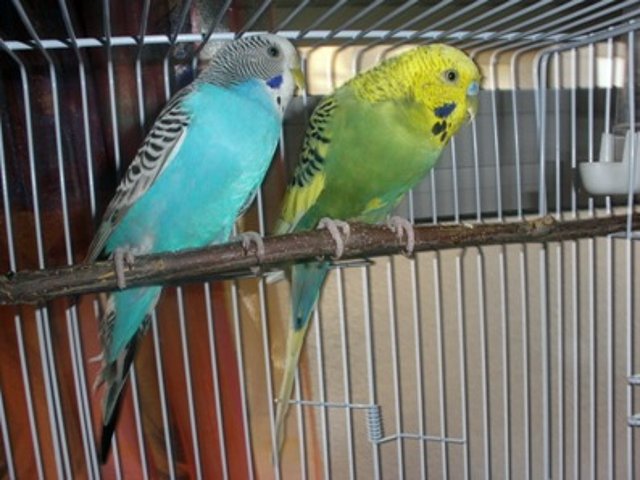 Foto1 Foto1
