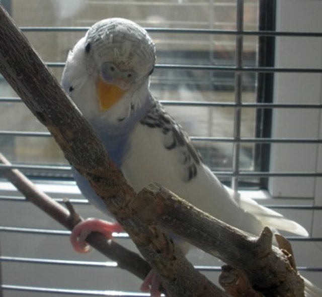 Foto4 Foto4