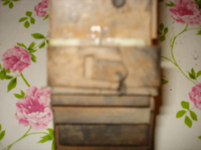 DSC04635 DSC04635
