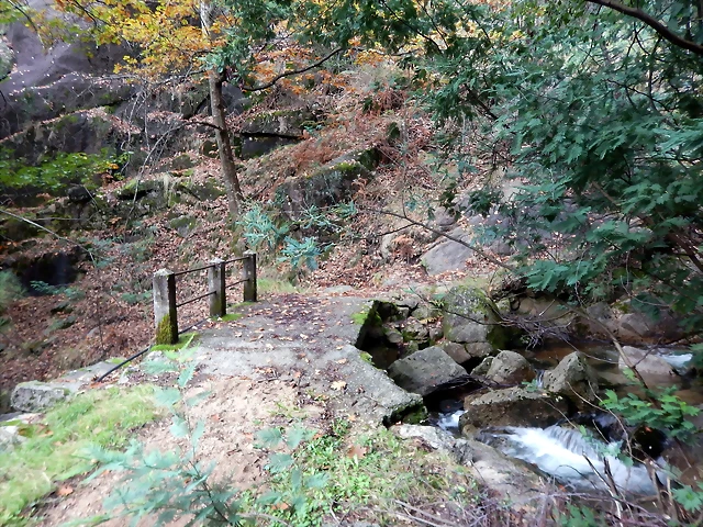 DSCN1910 DSCN1910