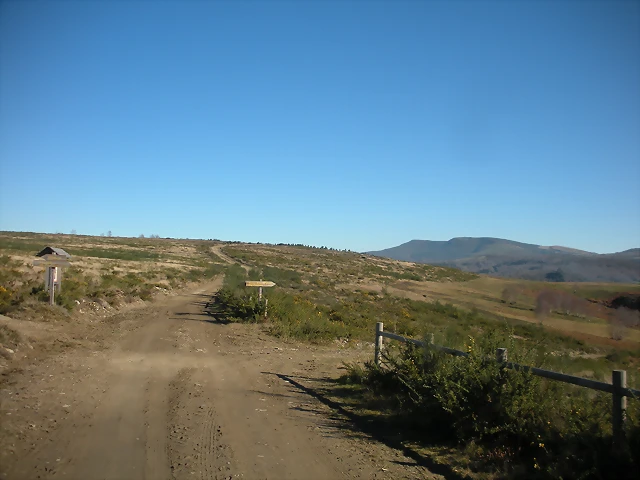 DSCN2273 DSCN2273