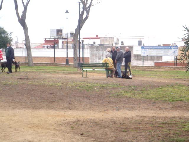 foro-Parque para perros en Huelva-15.02.14-J.Ch.Q 25