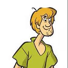 shaggy