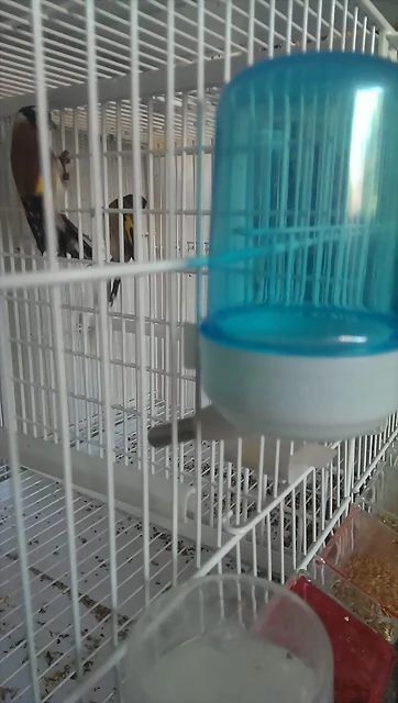 IMAG1729 IMAG1729