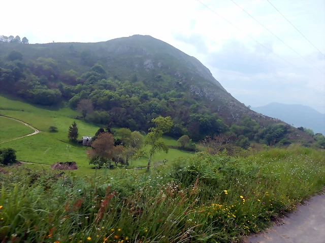 DSCN0215 DSCN0215
