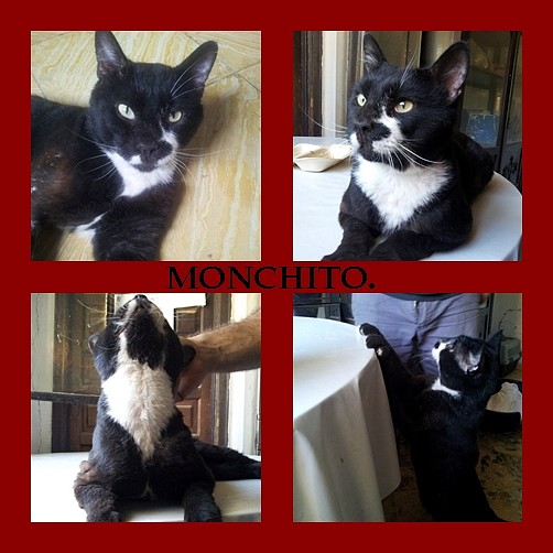 monchito2