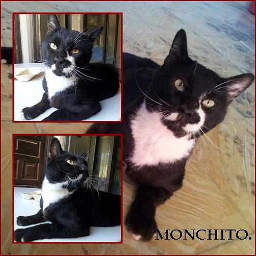 monchito1