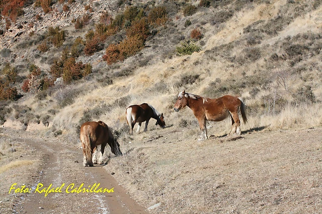 tyw pueblos abandonados (3)