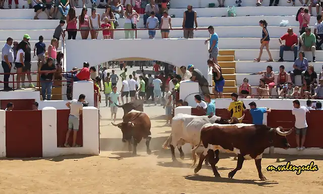 34, en la plaza, marca