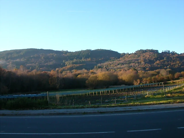 DSCN6657 DSCN6657