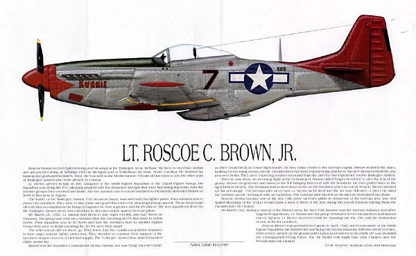 print_P-51D_R.Brown