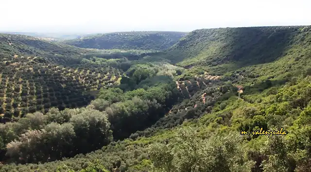 004, ro Guadalimar desde abenazar, marca