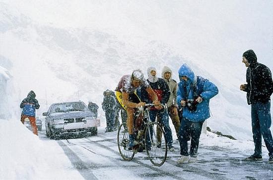 gavia1988_vandervelde_bettiniphoto