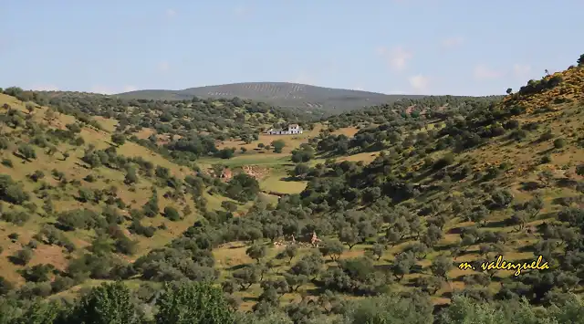 006, cortijo de Roa desde abenazar, marca