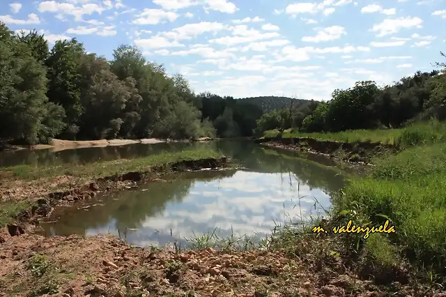 008, en los espejos del ro,marca