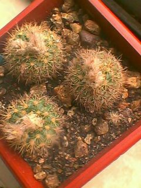 IMG0304A IMG0304A