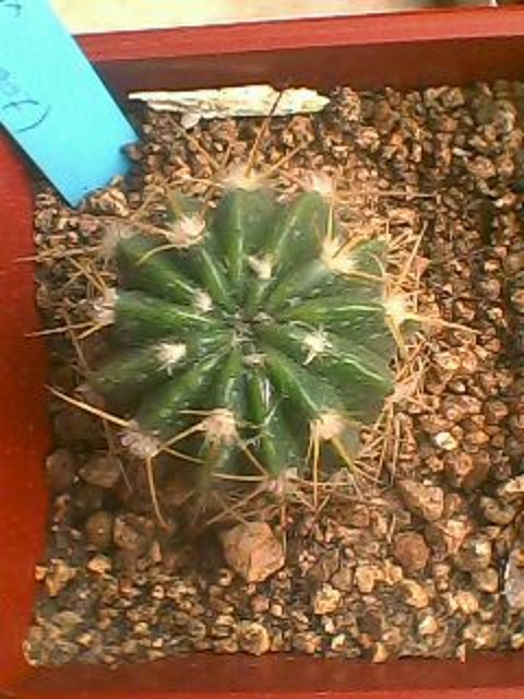 IMG0307A IMG0307A