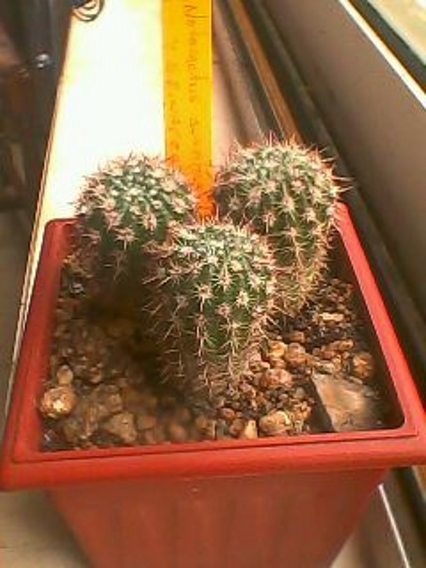 IMG0302A IMG0302A
