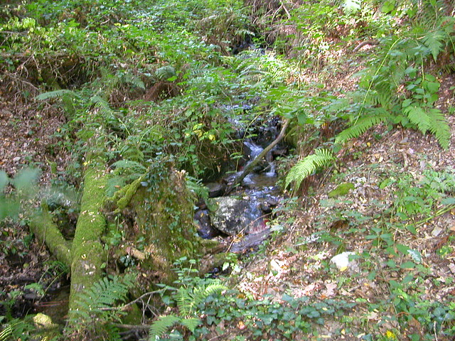 DSCN7526 DSCN7526