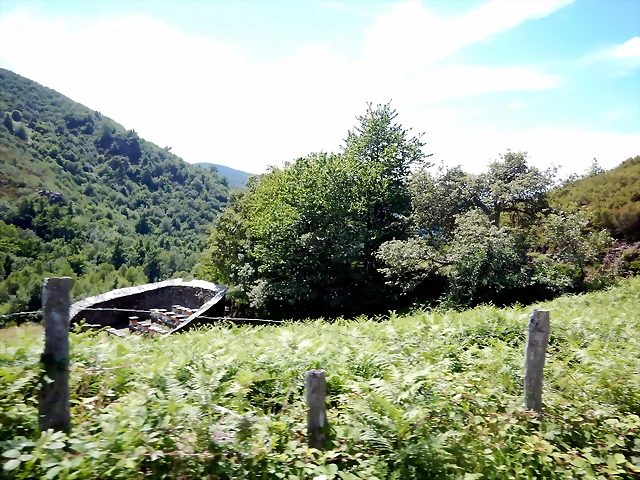 DSCN8330 DSCN8330