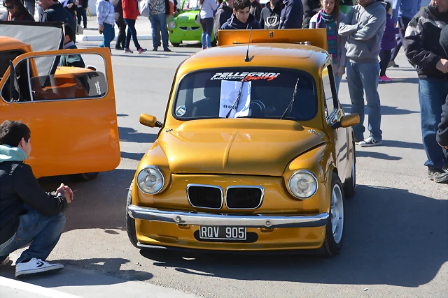 DSC_0098 DSC_0098