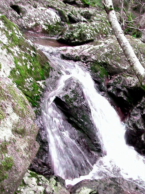 DSCN2051 DSCN2051